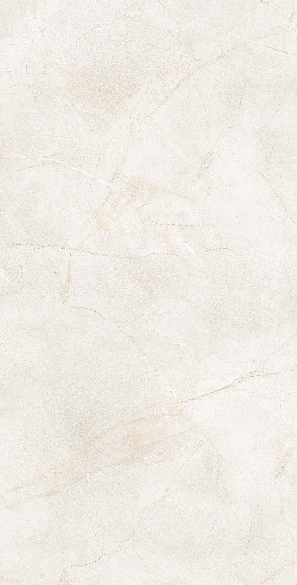 Pulpis Ivory